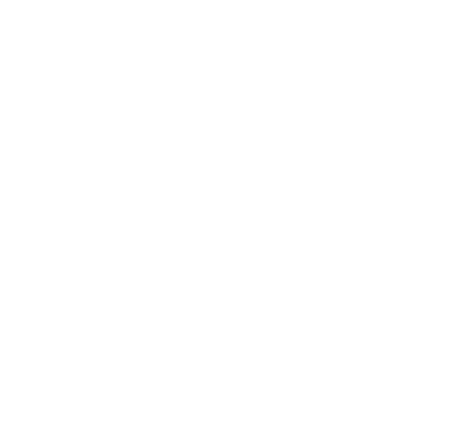 O.P. Jindal Global University